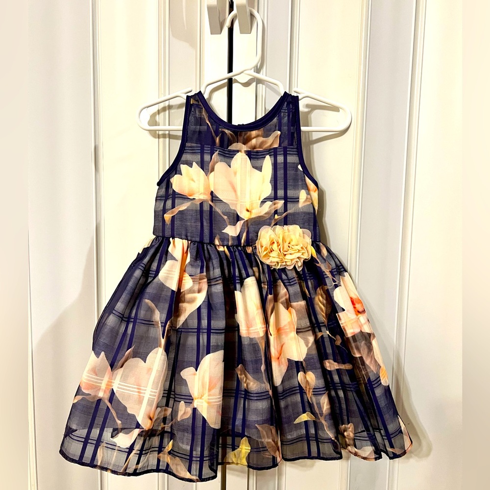 Nordstrom Toddler Dress 2T